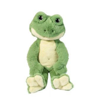 FLOYD FROG