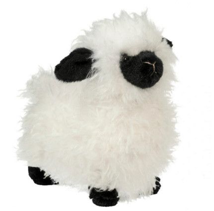 SHILOH CREAM LAMB