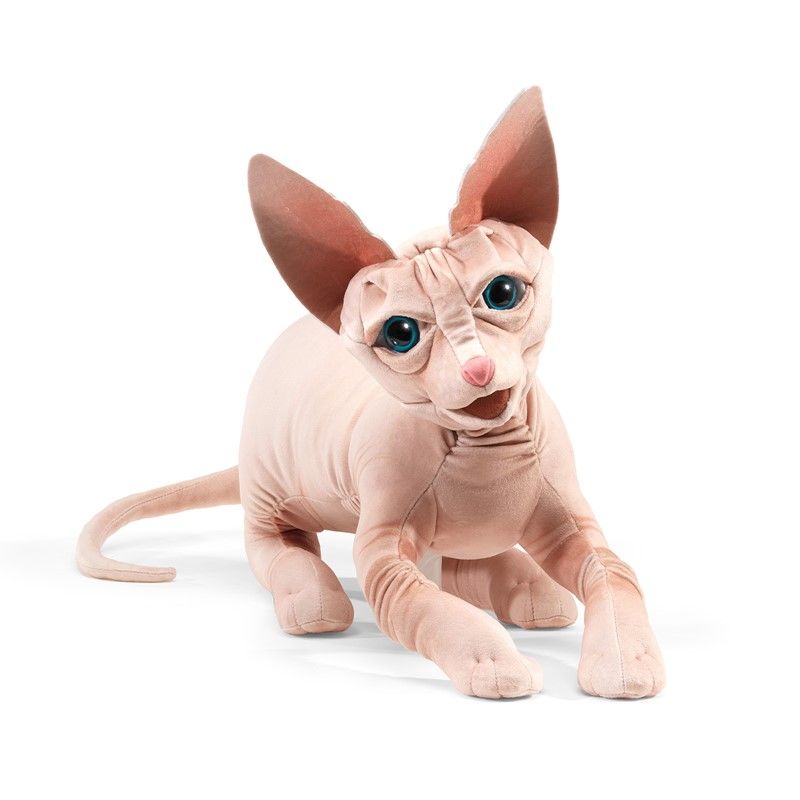 SPHYNX CAT