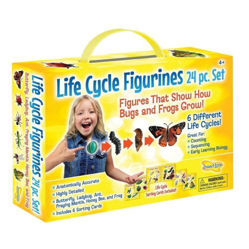 LIFE CYCLE FIGURINES 24 PC