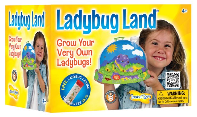 LADYBUG LAND