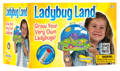 LADYBUG LAND