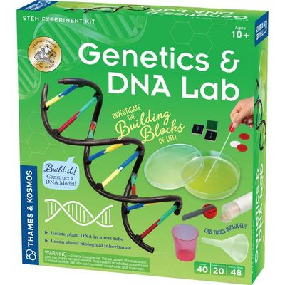 GENETICS DNA