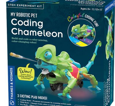 CODING CHAMELEON