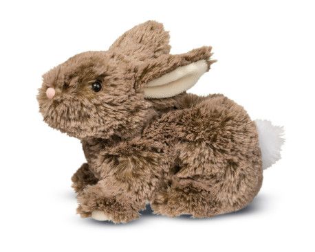 TAYLOR MOCHA BUNNY