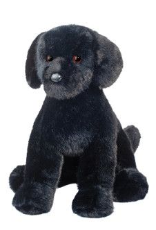 SPRUCE BLACK LAB