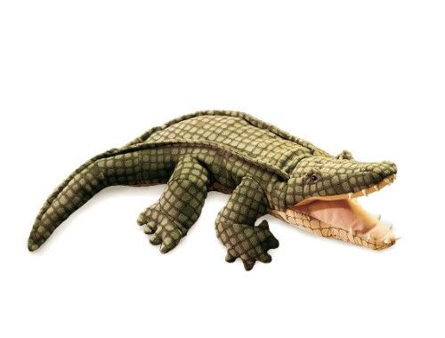 ALLIGATOR