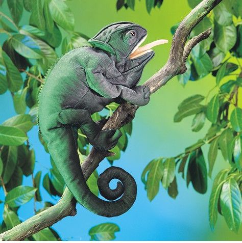 CHAMELEON