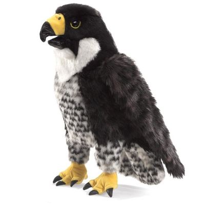 PEREGRINE FALCON