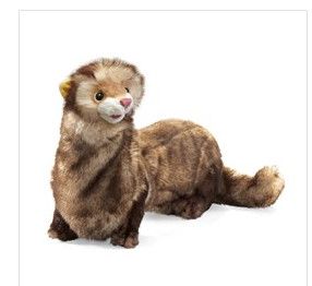 FERRET