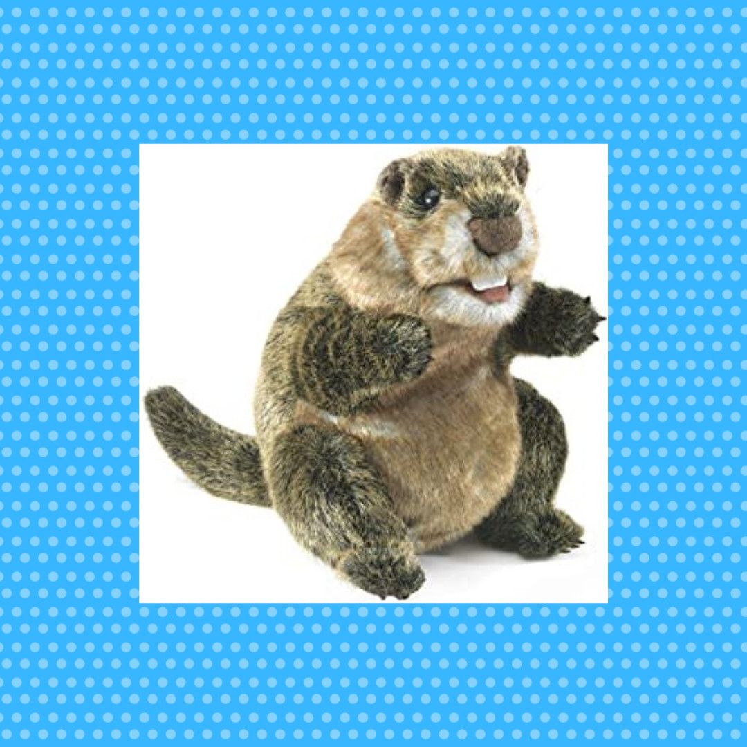 GROUNDHOG