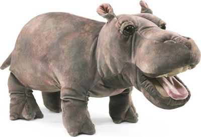 BABY HIPPO
