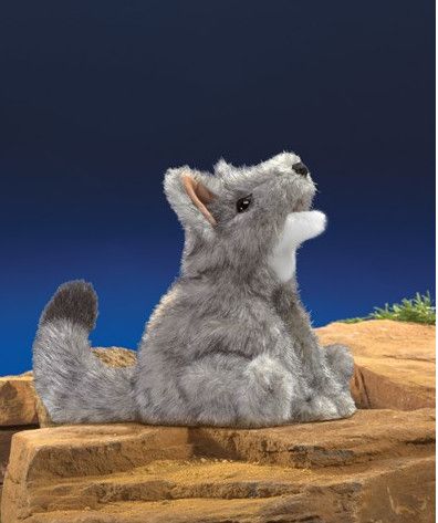 SMALL COYOTE
