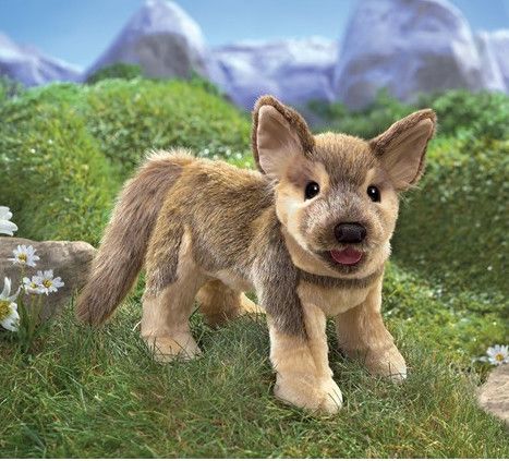 GERMAN SHEPHERD PUPPY