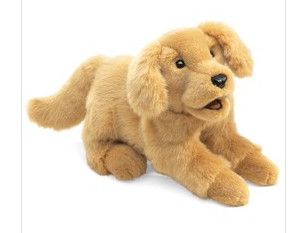 GOLDEN RETRIEVER PUPPY