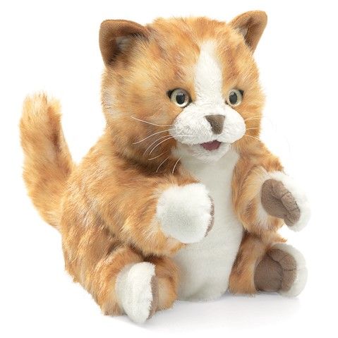 ORANGE TABBY KITTEN