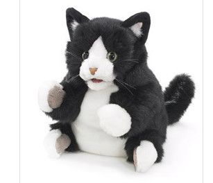 TUXEDO KITTEN