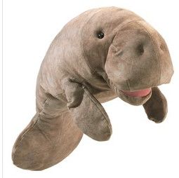 MANATEE