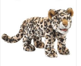 LEOPARD CUB