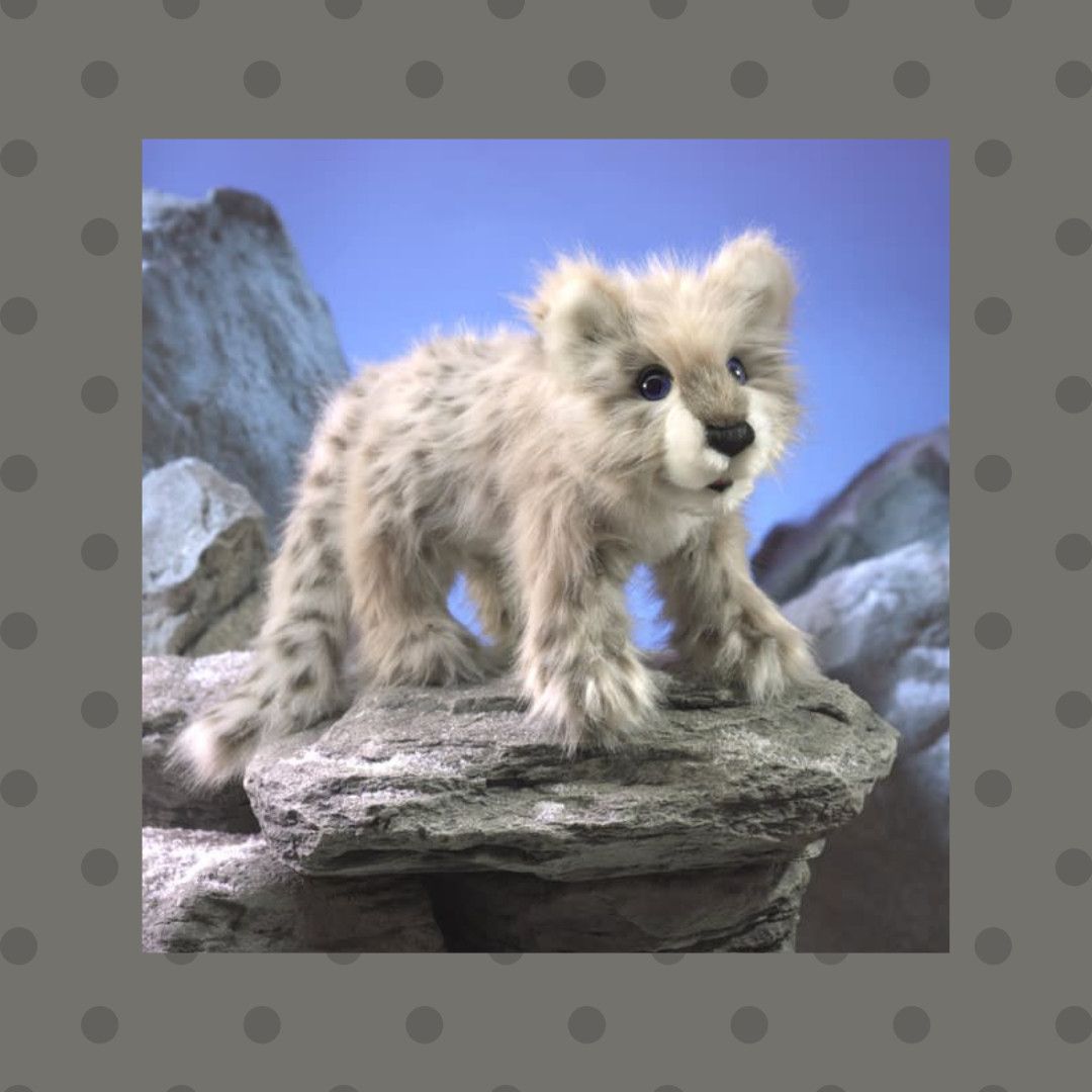 SNOW LEOPARD CUB