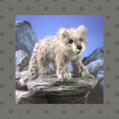 SNOW LEOPARD CUB