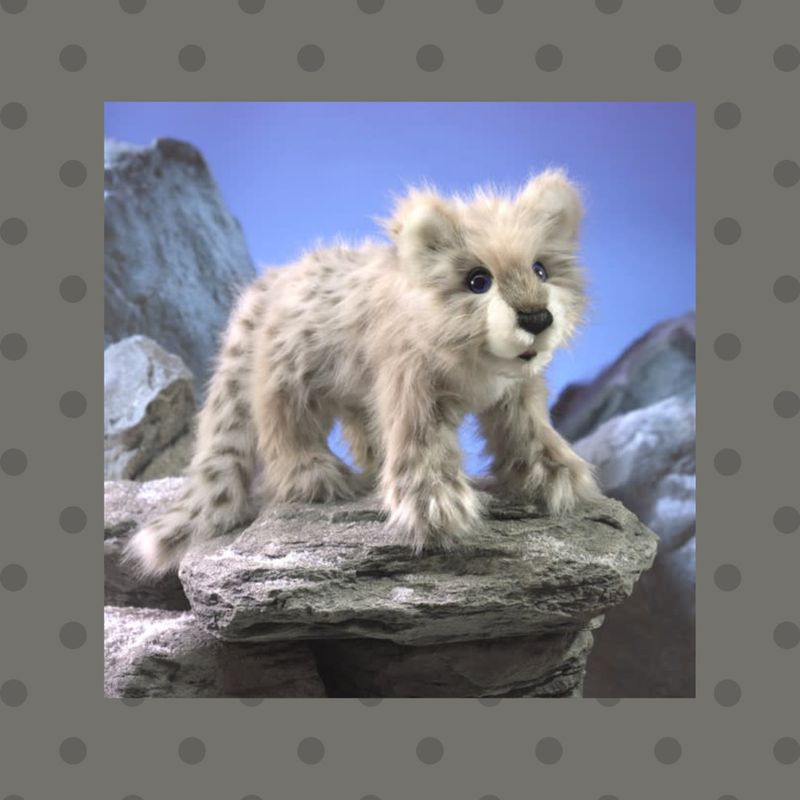 SNOW LEOPARD CUB