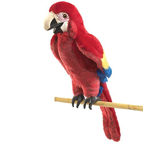 SCARLET MACAW