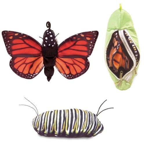 MONARCH LIFE CYCLE