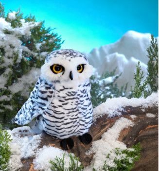 OWL, SNOWY SMALL