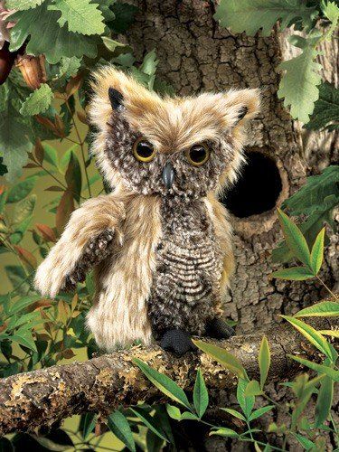 SCREECH OWL