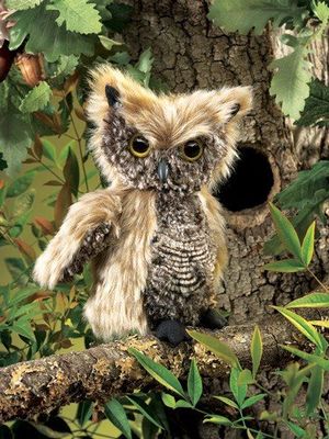 SCREECH OWL