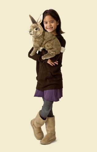 COTTONTAIL RABBIT