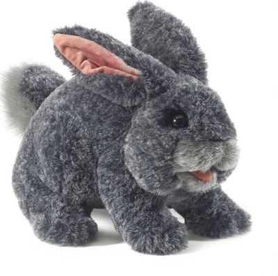 GRAY BUNNY RABBIT