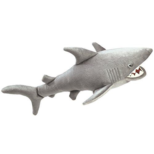 SHARK
