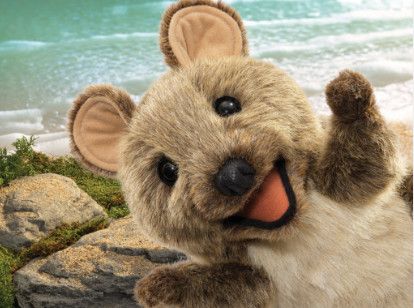 QUOKKA