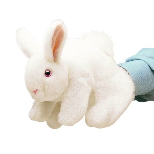 WHITE BUNNY RABBIT