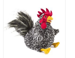 BARRED ROCK ROOSTER