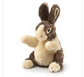 BABY DUTCH RABBIT