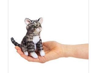 TABBY CAT MINI