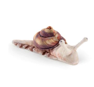 SNAIL MINI