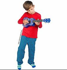 DINOSAUR UKULELE