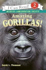 Amazing Gorillas! LV2