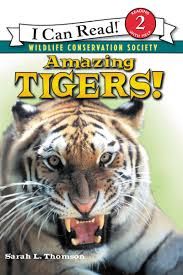 Amazing Tigers! LV2