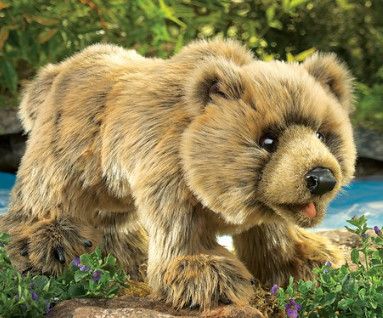 GRIZZLY BEAR