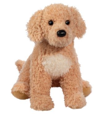 NOODLE GOLDEN DOODLE