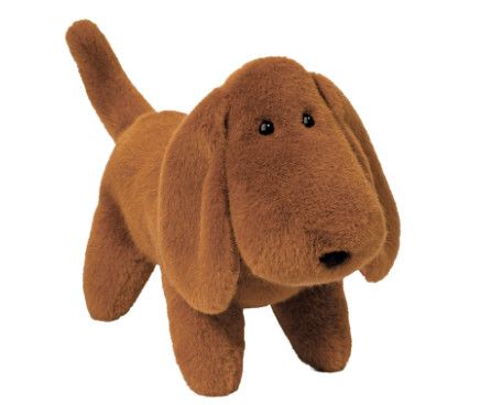 DALE DACHSUND MUZZLE