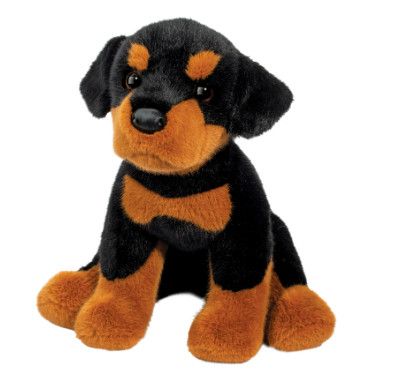 ED ROTTWEILER