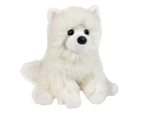 OPO WHITE POMERANIAN