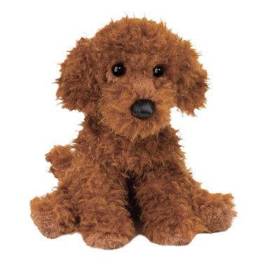 GINGER MINIATURE POODLE