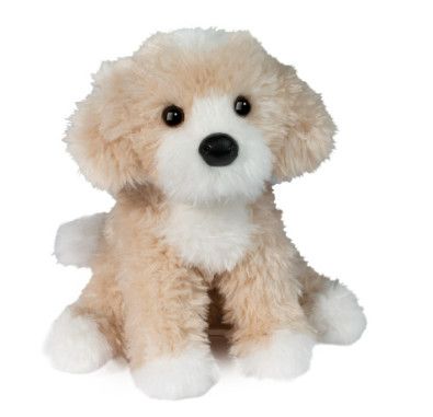 DARCY GOLDEN DOODLE